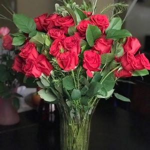 Meet your Posher, Iana